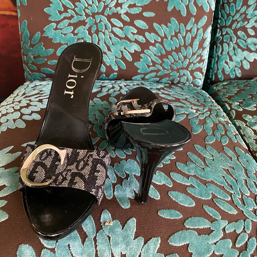 Dior shoe